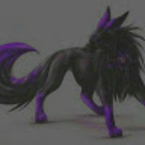 Meet your Posher, Ciara